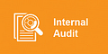 Internal AuditText